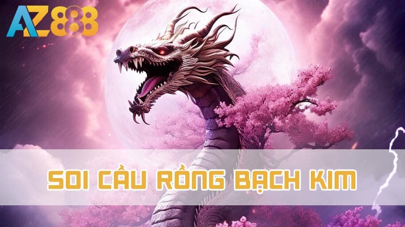 Tìm hiểu về soi cầu Rồng bạch kim